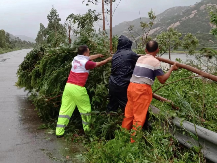 梁建文与沙咀村驻村干部清理道路上倒伏树木,保障通行安全.jpg