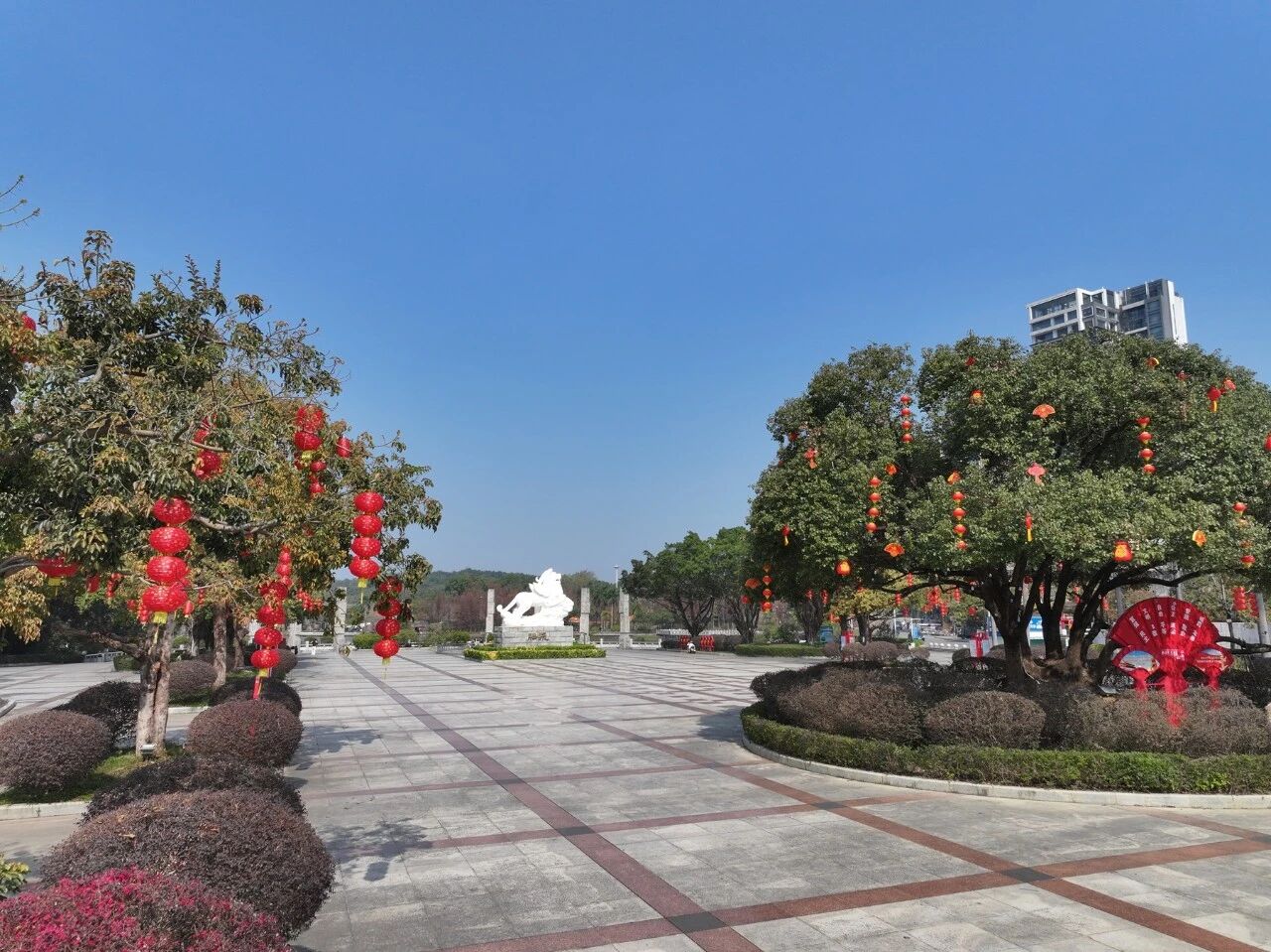 微信图片_2026-02-11_155544_277.jpg