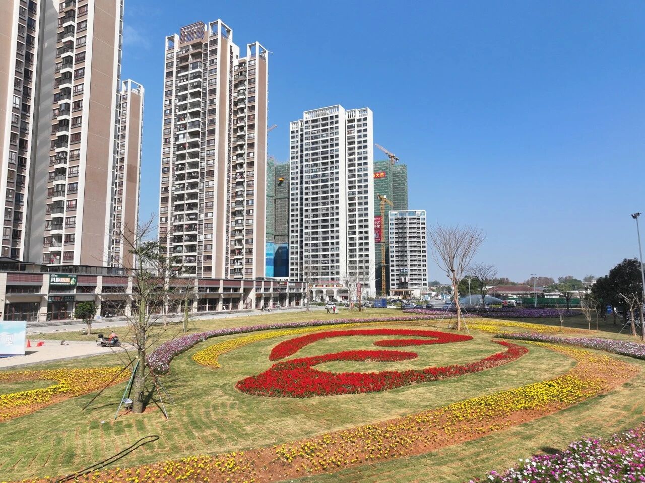 微信图片_2026-02-11_155609_066.jpg