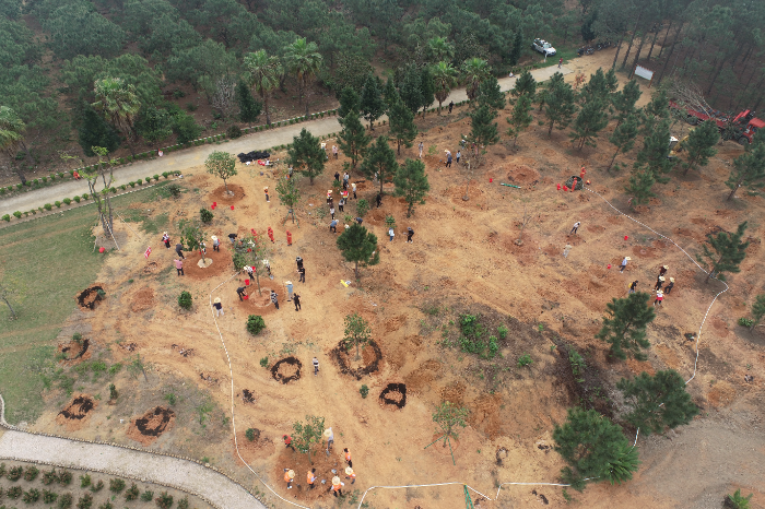 DJI_0483.JPG