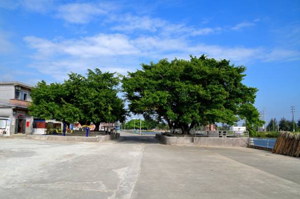 DSC_6290_00007.jpg