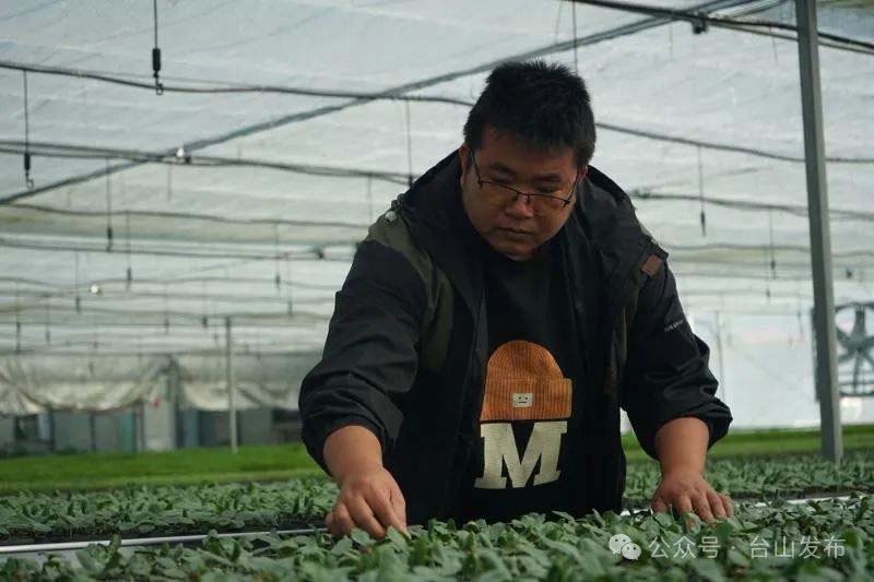 微信图片_20250120091419.jpg