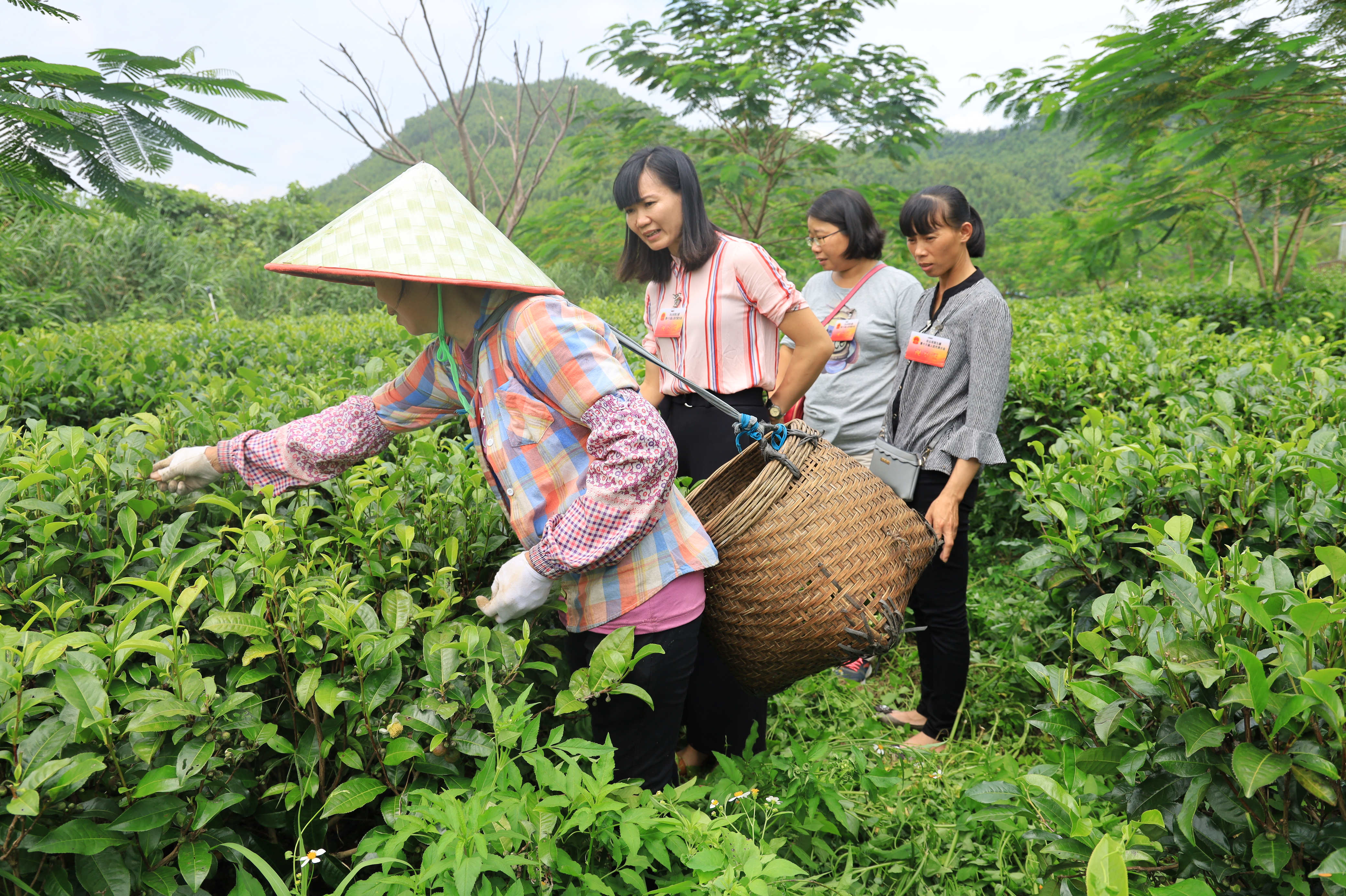 微信图片_20190906175200